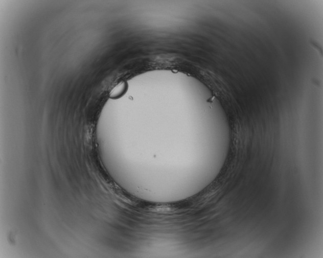 X0000103950759200809191210