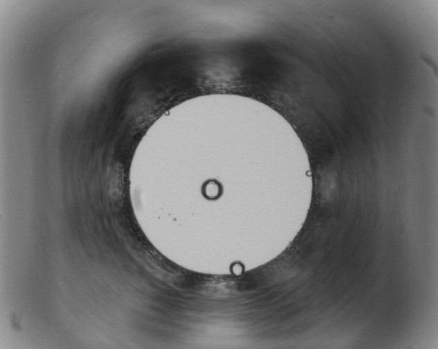X0000103950760200809191210