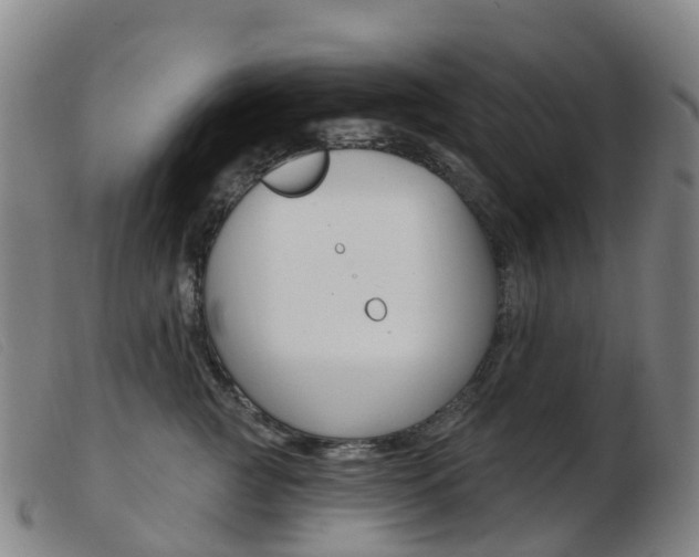 X0000103950761200809191210
