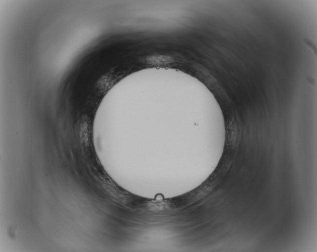 X0000103950762200809191210