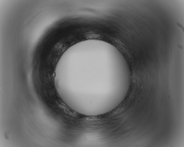 X0000103950763200809191210