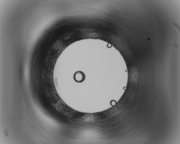 X0000103950764200809191210