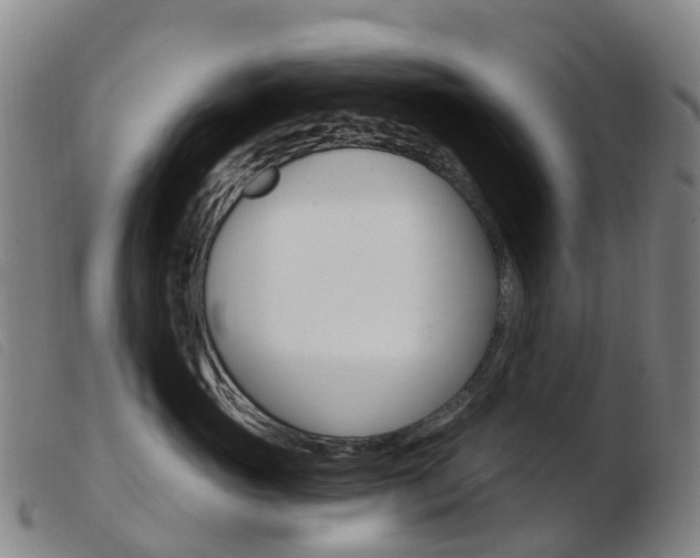 X0000103950765200809191210