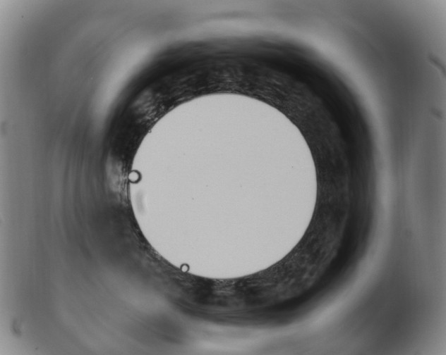 X0000103950766200809191210