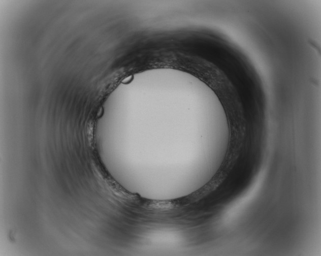 X0000103950767200809191210