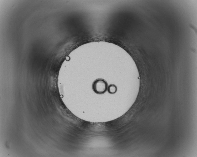 X0000103950768200809191211