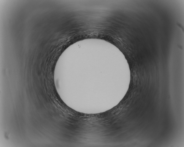 X0000103950769200809191210