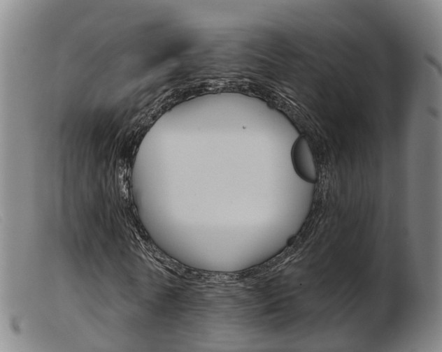 X0000103950770200809191210