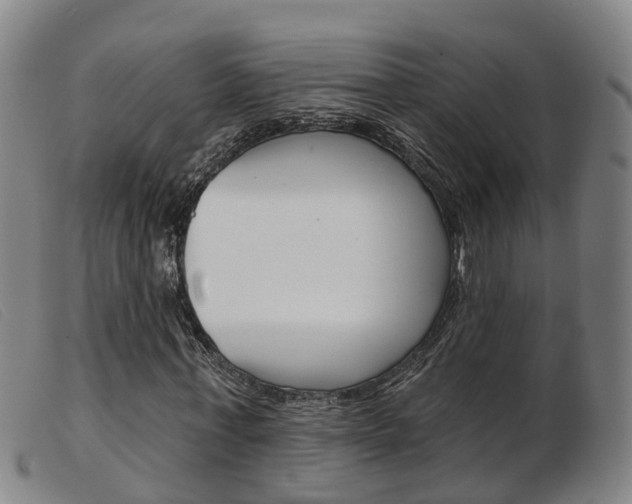 X0000103950771200809191210