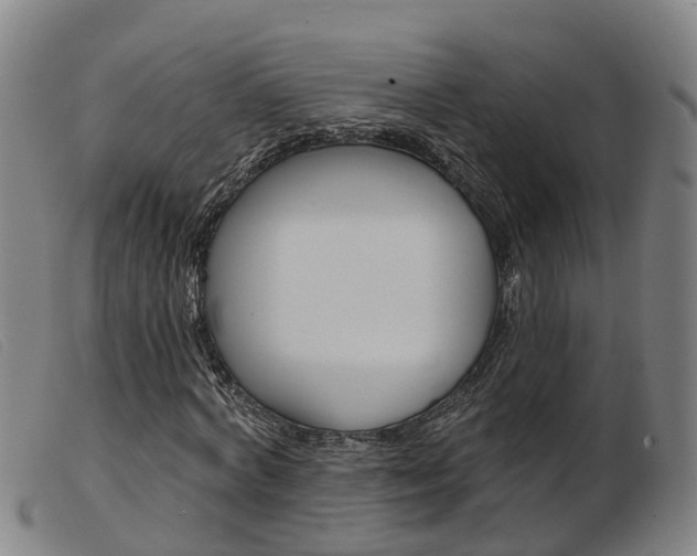 X0000103950772200809191210