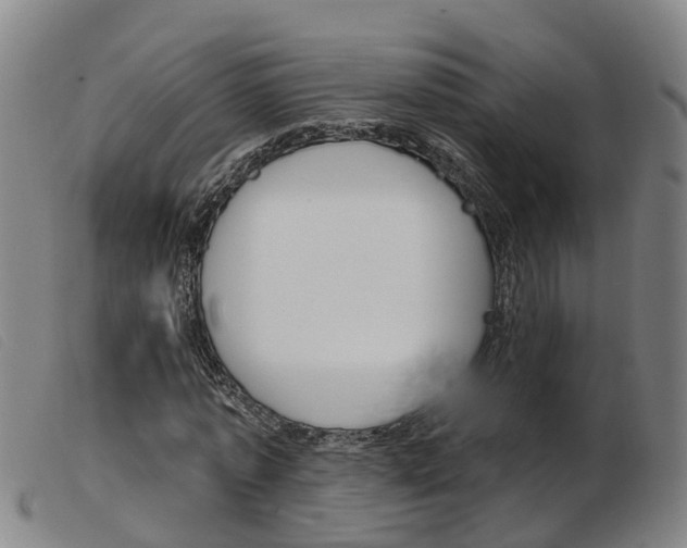 X0000103950773200809191210