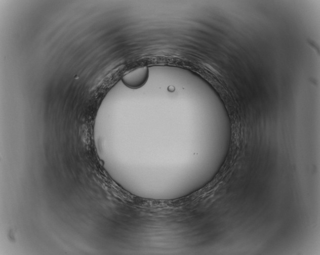 X0000103950774200809191210
