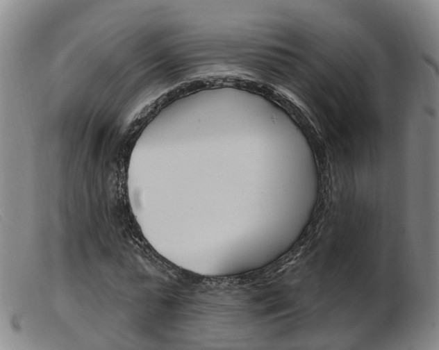 X0000103950775200809191210