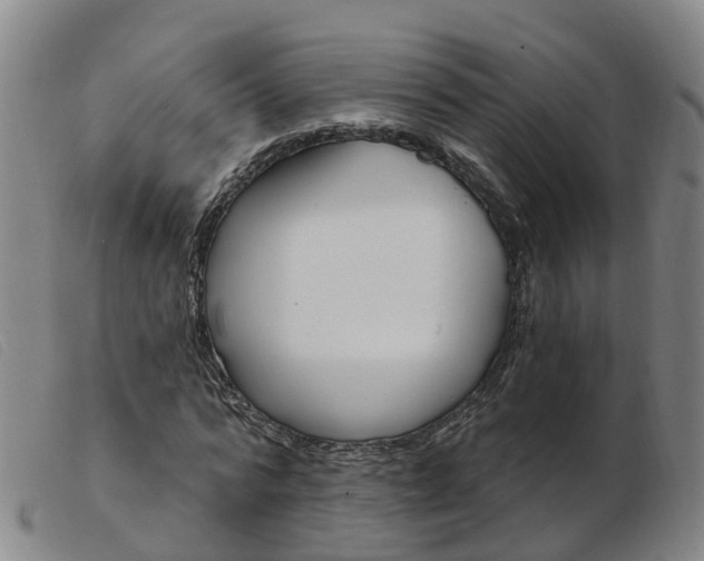 X0000103950776200809191210