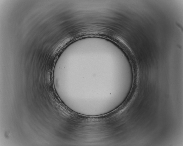 X0000103950777200809191210