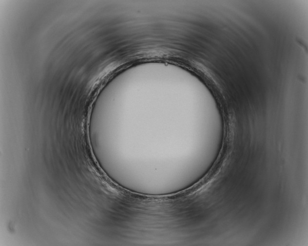 X0000103950778200809191210