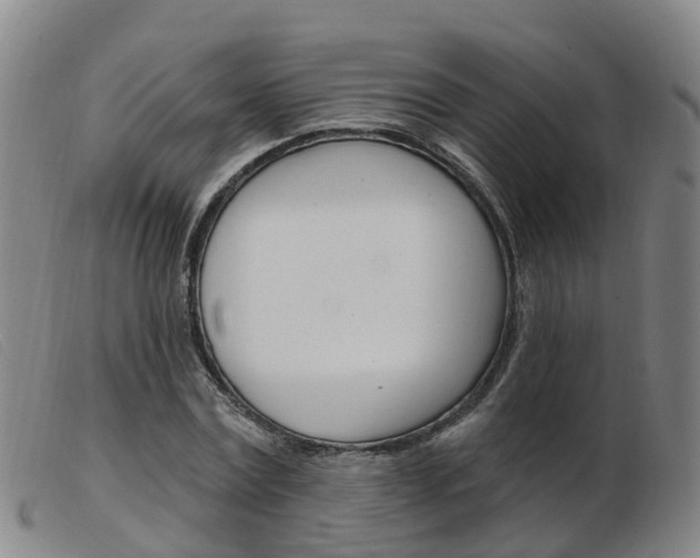 X0000103950779200809191210