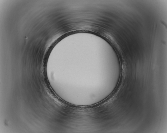 X0000103950780200809191210