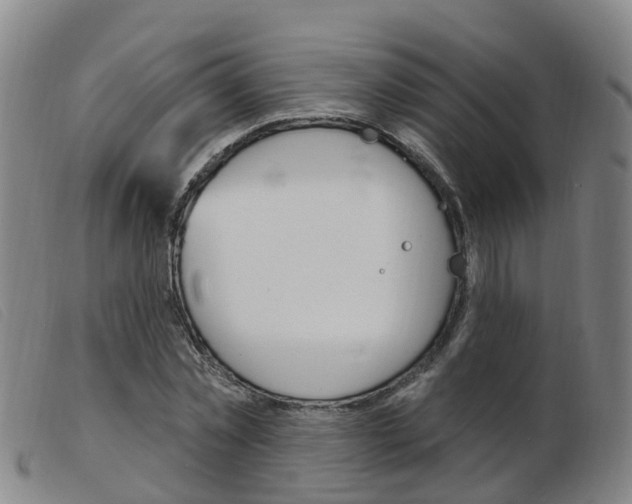 X0000103950781200809191210