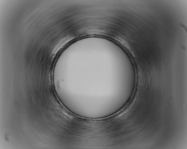X0000103950782200809191210
