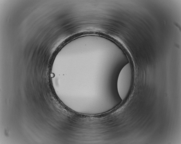 X0000103950783200809191210