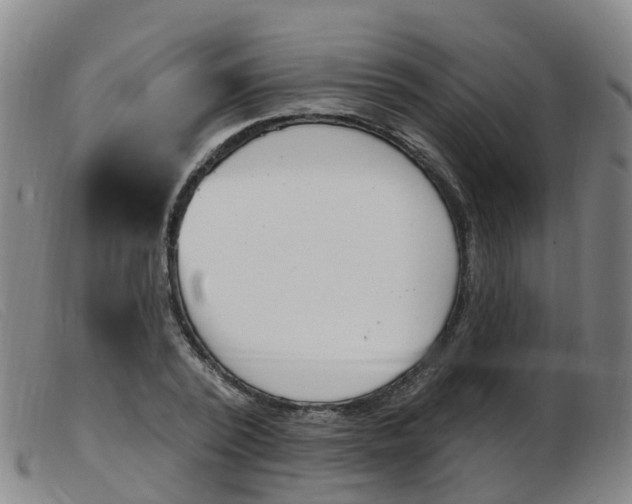X0000103950784200809191210