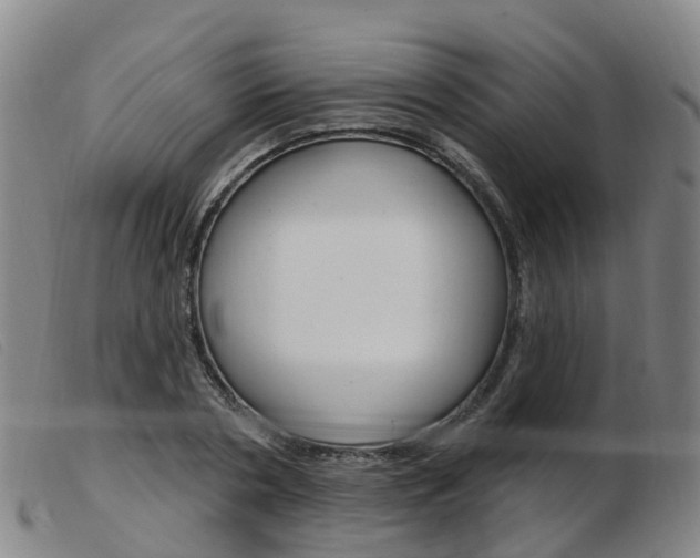 X0000103950786200809191210