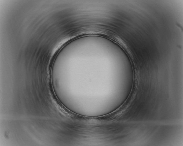 X0000103950787200809191210