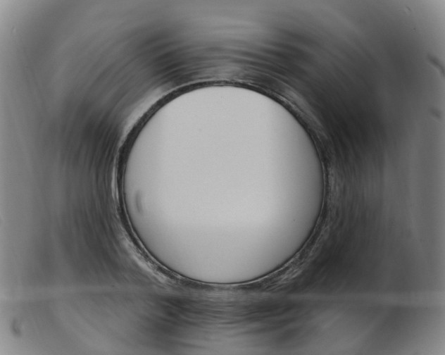 X0000103950788200809191210