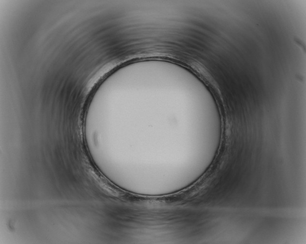 X0000103950789200809191210