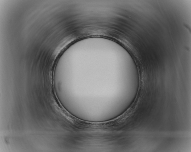X0000103950790200809191210