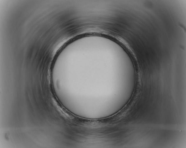 X0000103950791200809191210