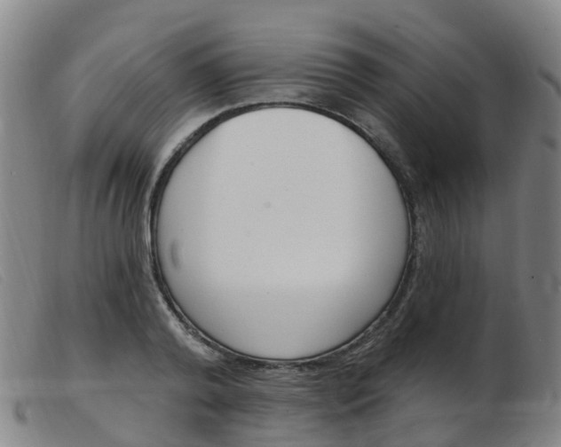 X0000103950792200809191210