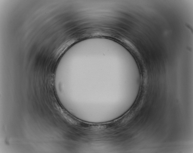 X0000103950793200809191210