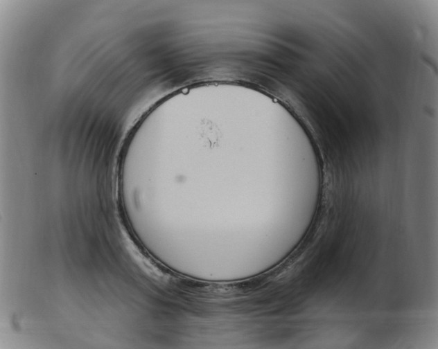 X0000103950795200809191209