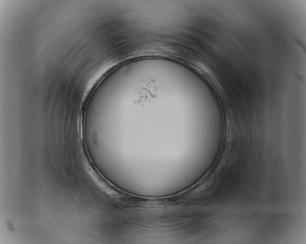 X0000103950796200809191209