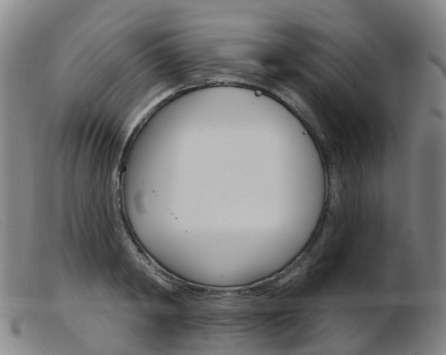 X0000103950798200809191209