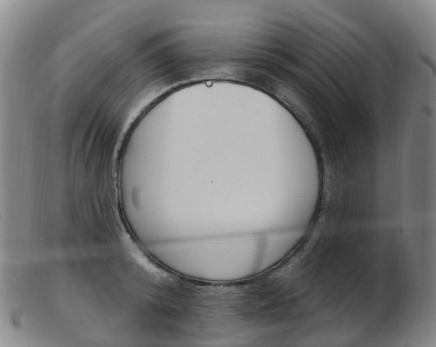 X0000103950800200809191209