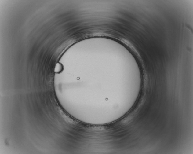 X0000103950801200809191209