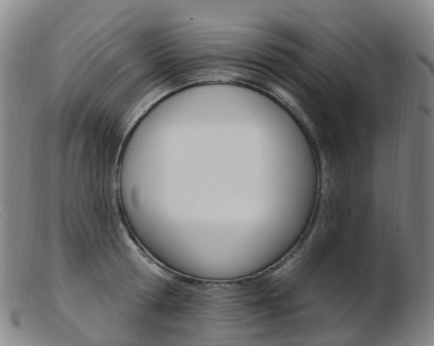 X0000103950802200809191209