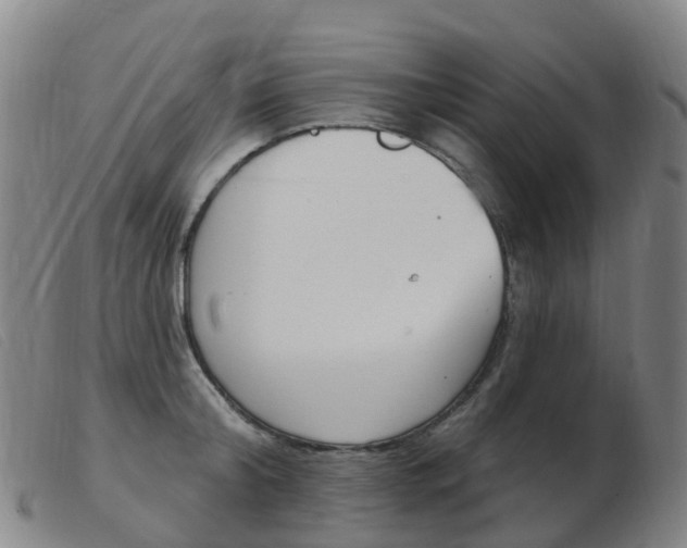 X0000103950804200809191209