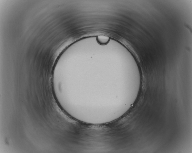X0000103950805200809191209