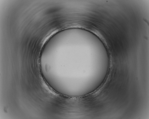 X0000103950806200809191209