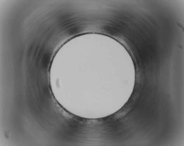 X0000103950807200809191209