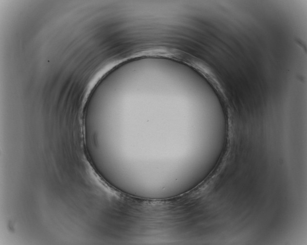 X0000103950808200809191209