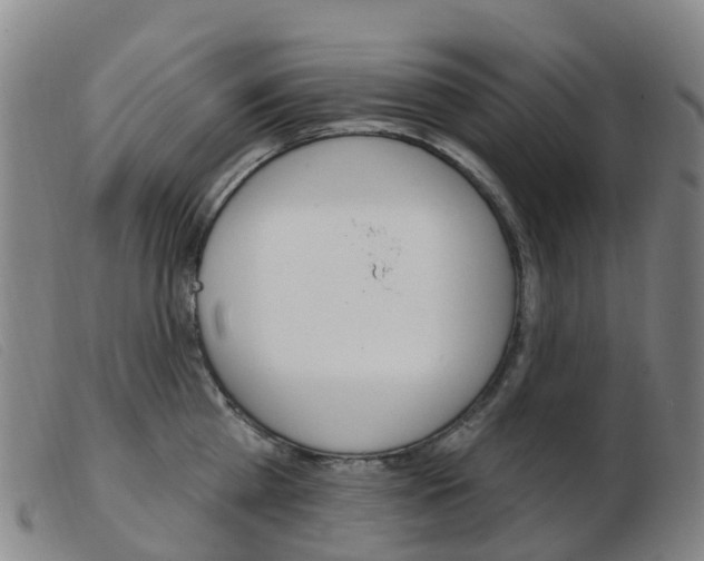 X0000103950809200809191209