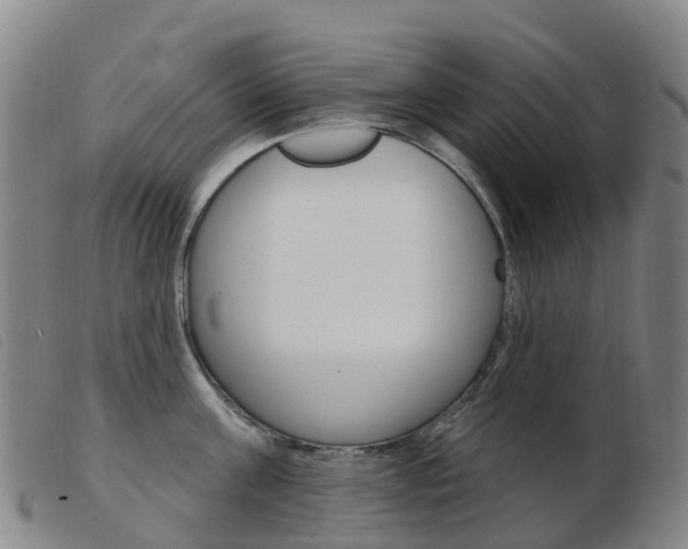 X0000103950811200809191209