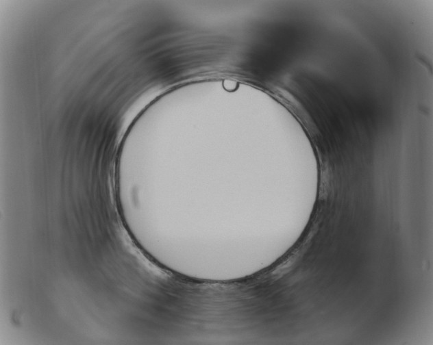 X0000103950812200809191209