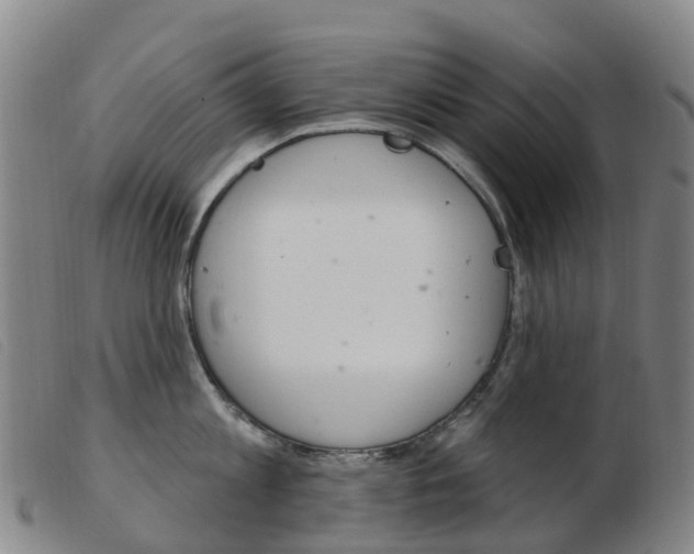 X0000103950813200809191209