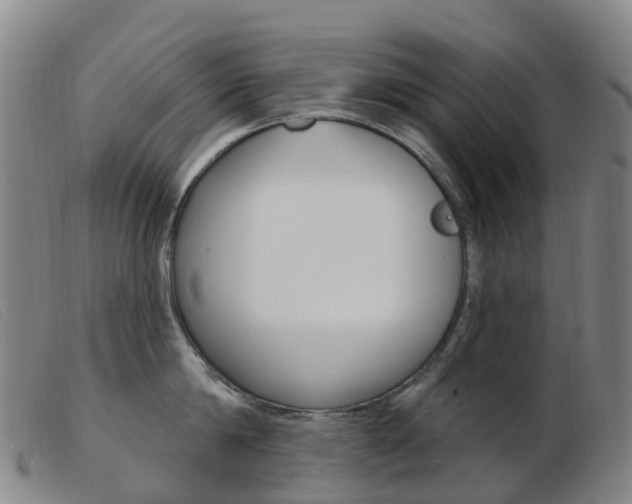 X0000103950814200809191209